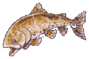 Trout artwork by ChaoticHazeVI